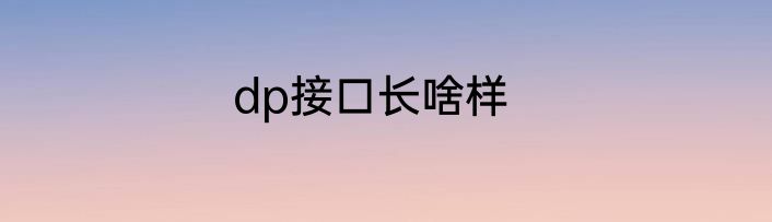 dp接口长啥样