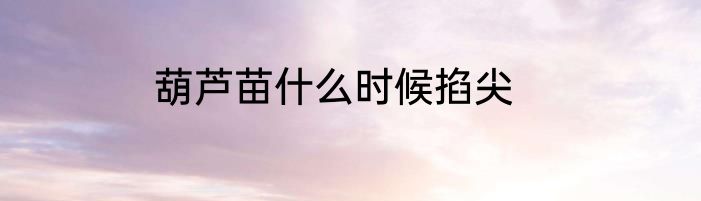 葫芦苗什么时候掐尖