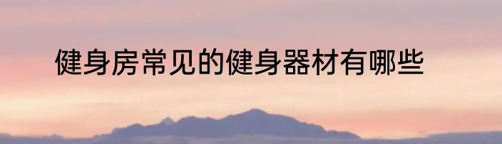 健身房常见的健身器材有哪些