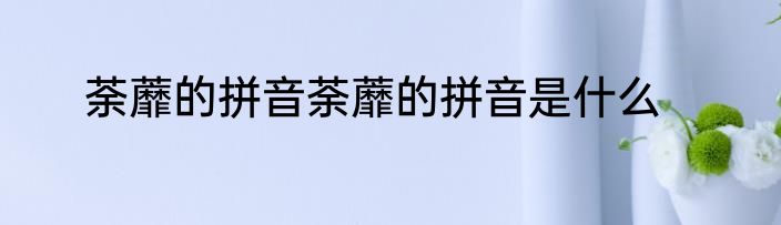 荼蘼的拼音荼蘼的拼音是什么
