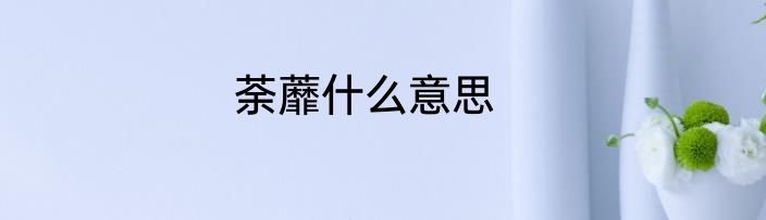 荼蘼什么意思