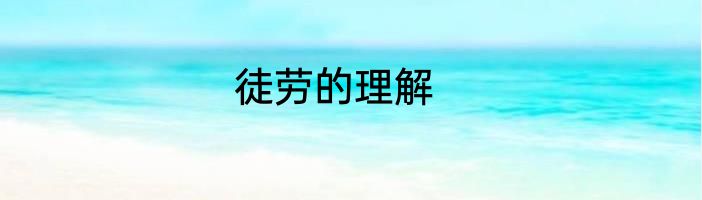徒劳的理解