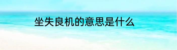 坐失良机的意思是什么