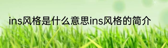 ins风格是什么意思ins风格的简介