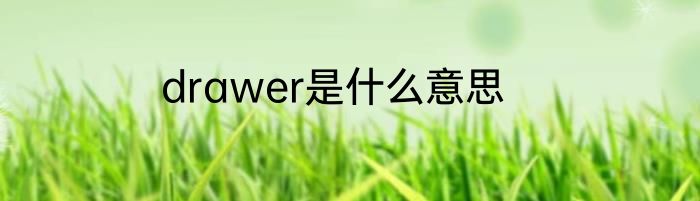 drawer是什么意思