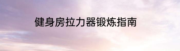 健身房拉力器锻炼指南