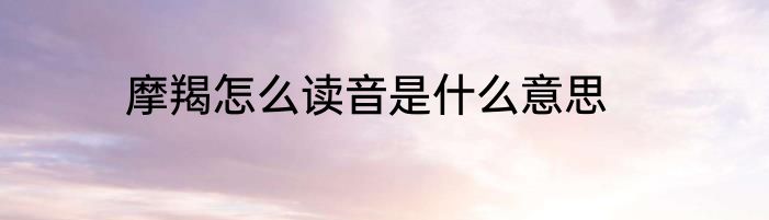 摩羯怎么读音是什么意思