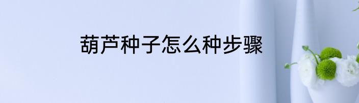 葫芦种子怎么种步骤
