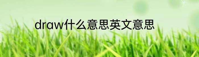 draw什么意思英文意思