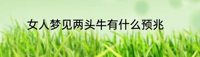 女人梦见两头牛有什么预兆