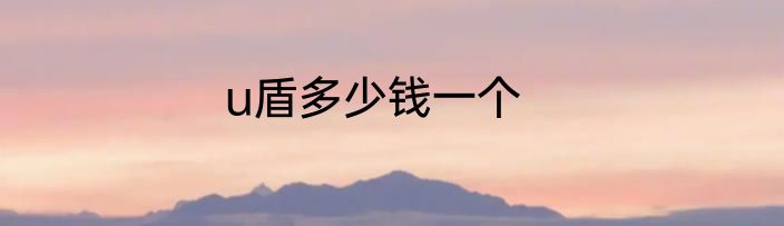 u盾多少钱一个