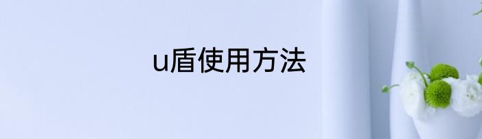 u盾使用方法