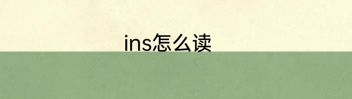 ins怎么读