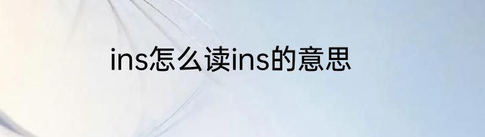 ins怎么读ins的意思