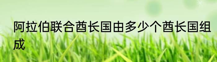 阿拉伯联合酋长国由多少个酋长国组成