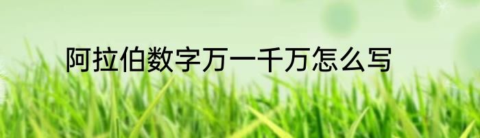 阿拉伯数字万一千万怎么写