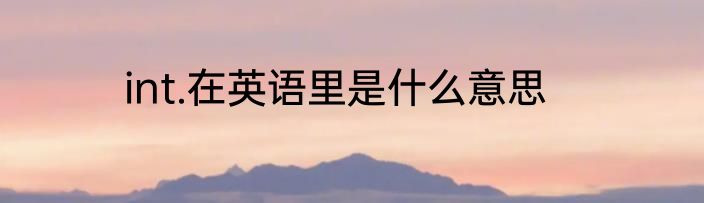 int.在英语里是什么意思