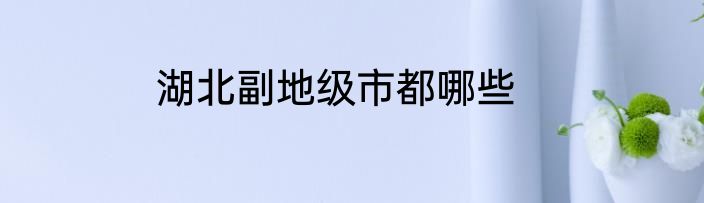 湖北副地级市都哪些