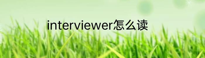 interviewer怎么读
