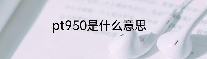 pt950是什么意思