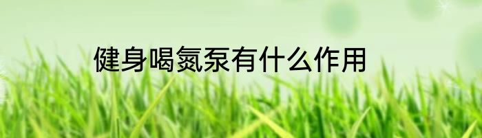 健身喝氮泵有什么作用