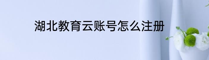 湖北教育云账号怎么注册