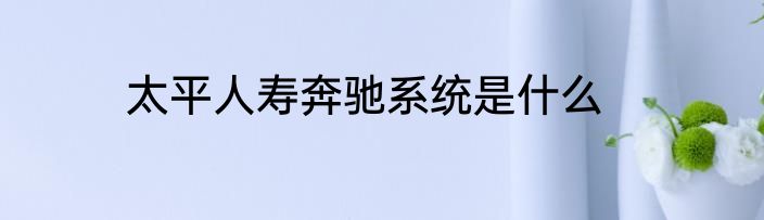 太平人寿奔驰系统是什么