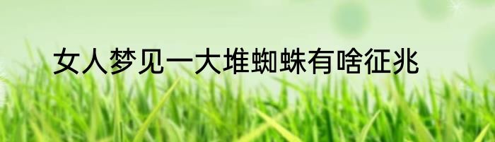 女人梦见一大堆蜘蛛有啥征兆