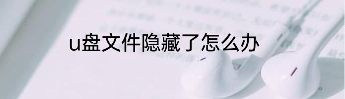 u盘文件隐藏了怎么办