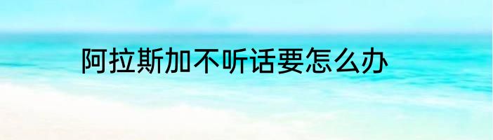 阿拉斯加不听话要怎么办