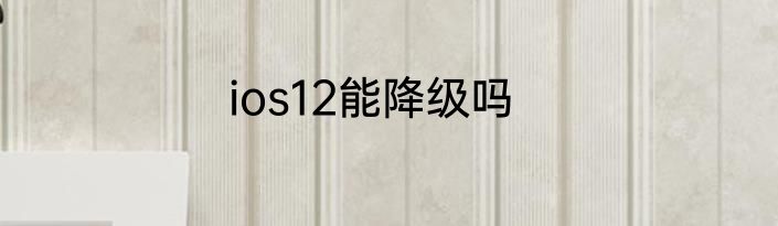 ios12能降级吗