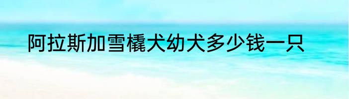 阿拉斯加雪橇犬幼犬多少钱一只