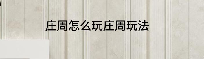 庄周怎么玩庄周玩法