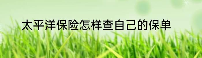 太平洋保险怎样查自己的保单
