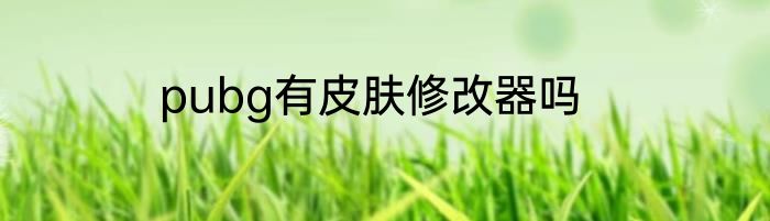 pubg有皮肤修改器吗