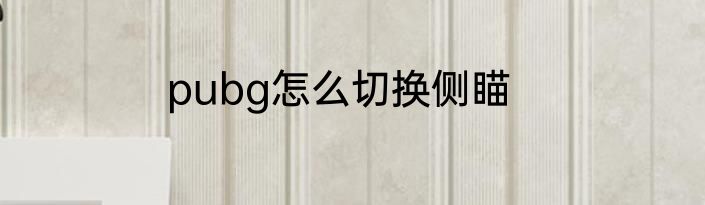 pubg怎么切换侧瞄