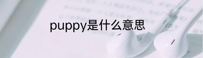 puppy是什么意思