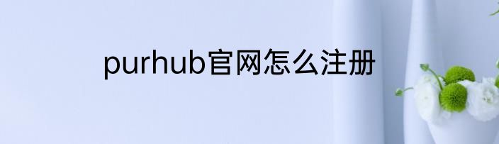 purhub官网怎么注册