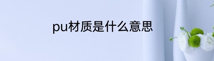 pu材质是什么意思
