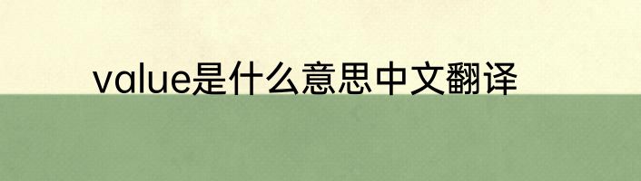value是什么意思中文翻译