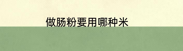 做肠粉要用哪种米