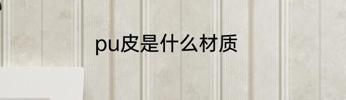 pu皮是什么材质
