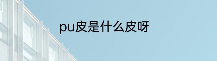 pu皮是什么皮呀
