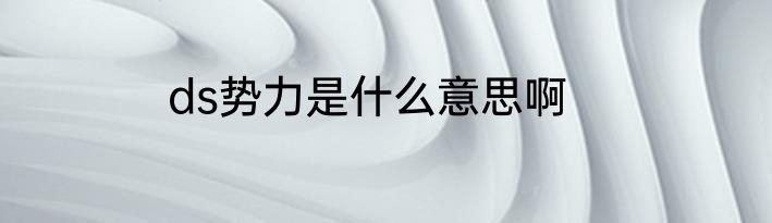 ds势力是什么意思啊