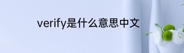 verify是什么意思中文