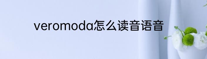 veromoda怎么读音语音