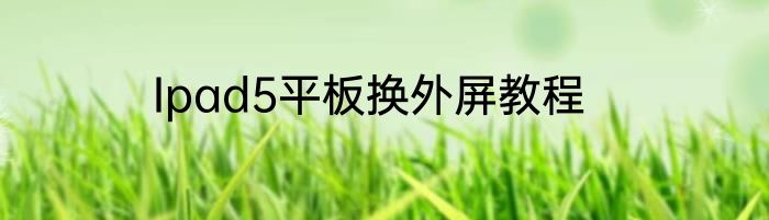 Ipad5平板换外屏教程
