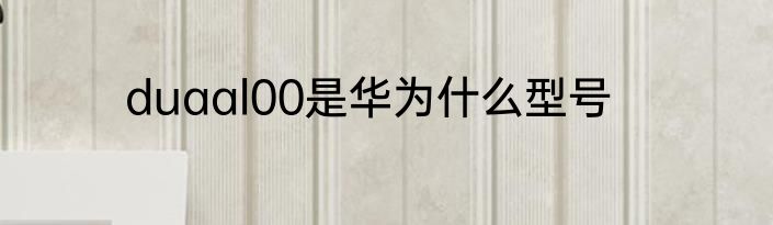 duaal00是华为什么型号