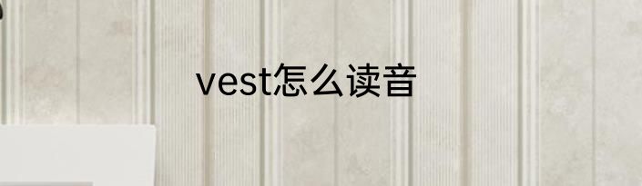 vest怎么读音