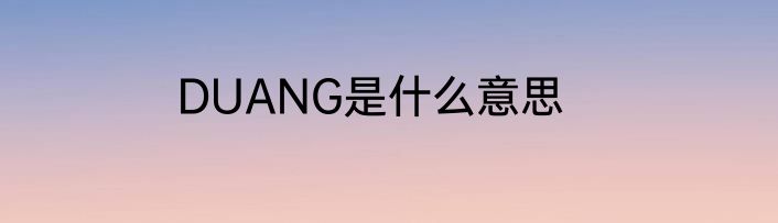 DUANG是什么意思